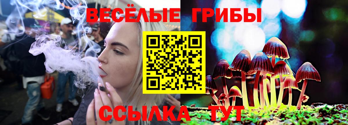 Галлюциногенные грибы GOLDEN TEACHER Кострома
